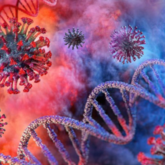 Španci otkrili visokopatogen virus na neobičnom mestu