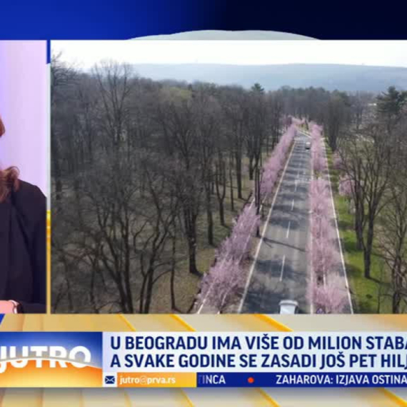Beograd radi na ozelenjavanju grada: Zasađeno više od 13.000 stabala VIDEO