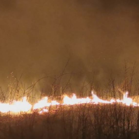 Veliki požar na Žabljaku: Vatra se brzo širi FOTO/VIDEO