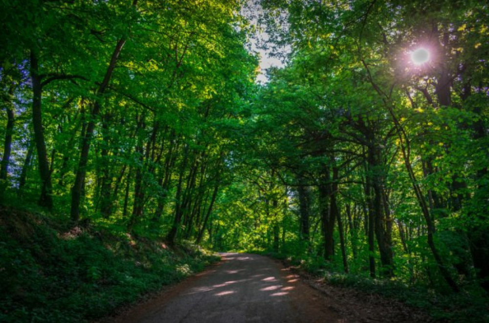 Spasene dve osobe koje su se izgubile kod Petrovca na Mlavi