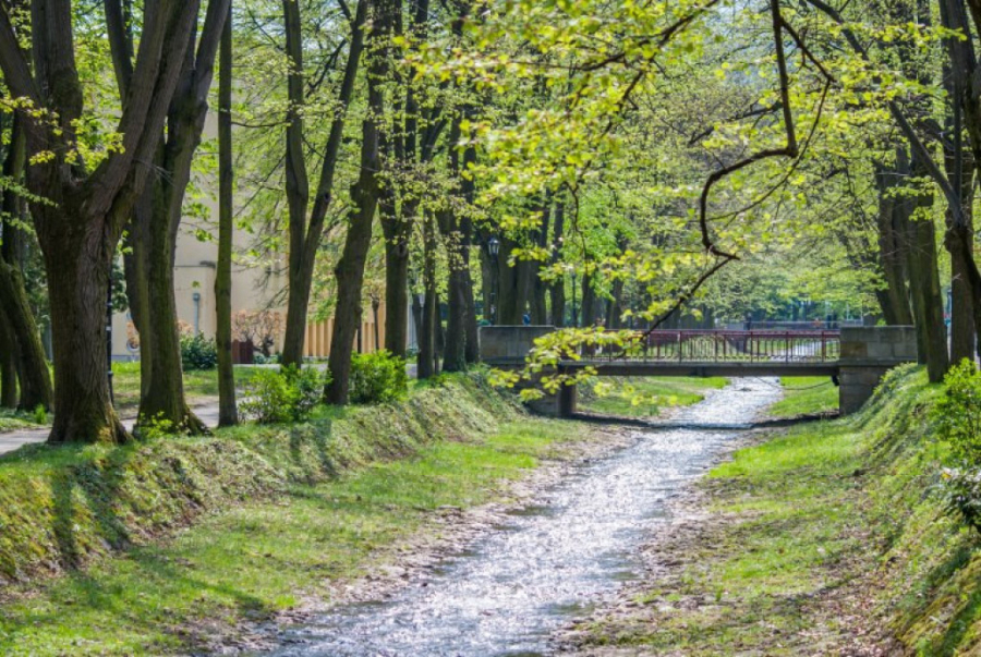 Spremite se: Za odmor u Srbiji 10.000 dinara, evo kako se prijaviti ANKETA