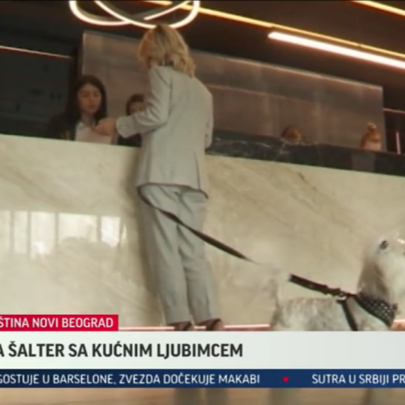 Od sada na šalter sa kućnim ljubimcem u ovim beogradskim opštinama VIDEO