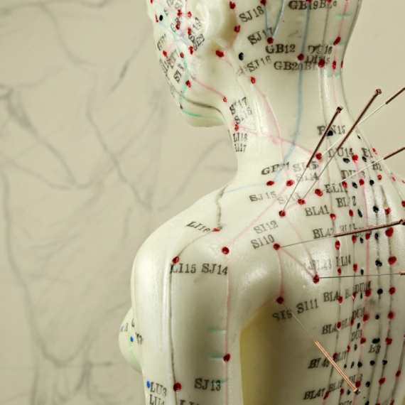 Šta sve pruža kineska medicina?