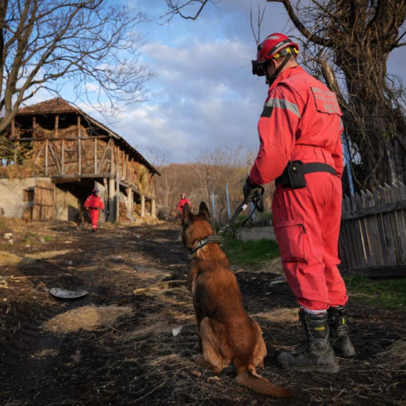 Dva meseca od nestanka male Danke; Ključne su DNK i GPS analize FOTO
