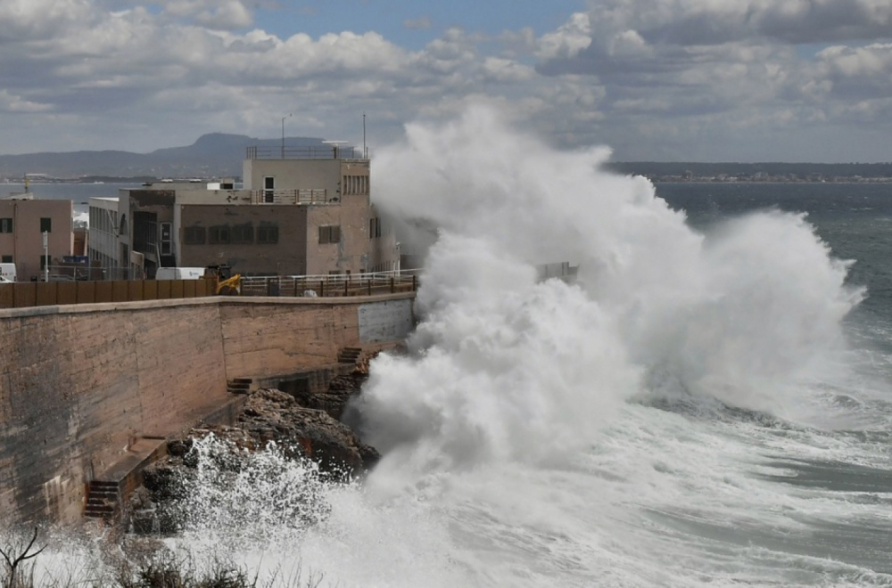Potresne scene usled nevremena: Iz mora u Dubrovniku izvučene lešine krave, ovce i gomila smeća FOTO