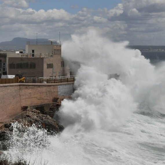 Potresne scene usled nevremena: Iz mora u Dubrovniku izvučene lešine krave, ovce i gomila smeća FOTO