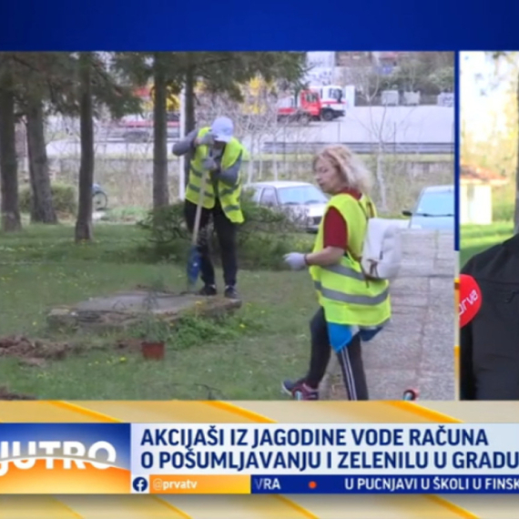 Velika akcija sadnje drveća: Akcijaši i volonteri udruženim snagama za lepšu Jagodinu VIDEO