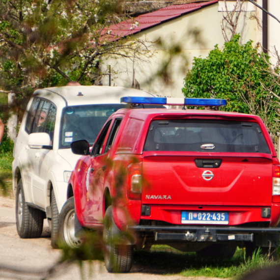 The search for Danka Ilić's body continues; "He doesn't want to say where's the body''