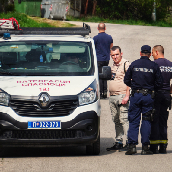 Danka's killers go to the Special Prison Hospital in Belgrade for a psychiatric checkup