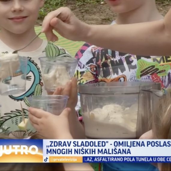 "Zdrav sladoled", omiljena poslastica niških mališana VIDEO