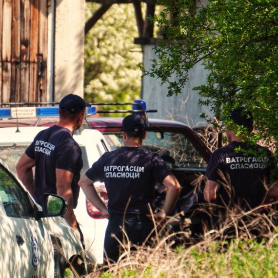 New witnesses in the case of Danka Ilić: New hearings in the prosecutor's office from Wednesday