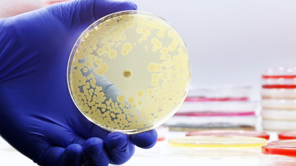 Gori nego što se mislilo: Dejstvo antibiotika štetno i do osam godina
