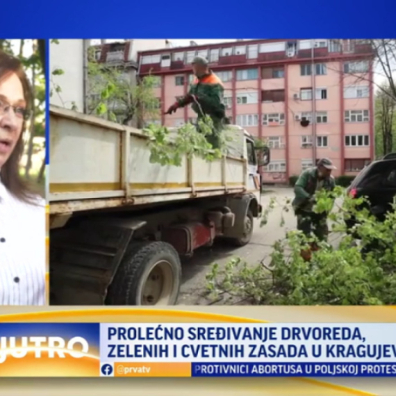 Sezona počela ranije: Prolećno sređivanje širom Kragujevca VIDEO