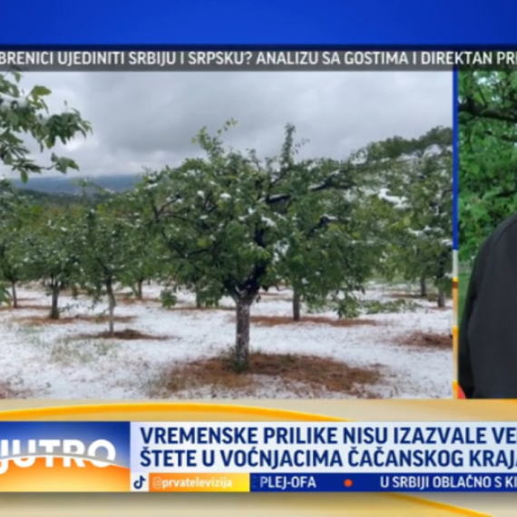 Ima li štete od mraza u čačanskim voćnjacima? VIDEO