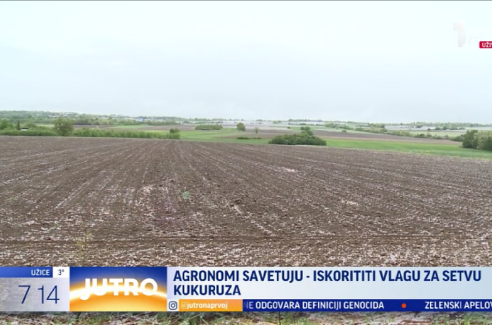 Agronomi savetuju: Kragujevčani, iskoristite kišu i sneg za setvu VIDEO