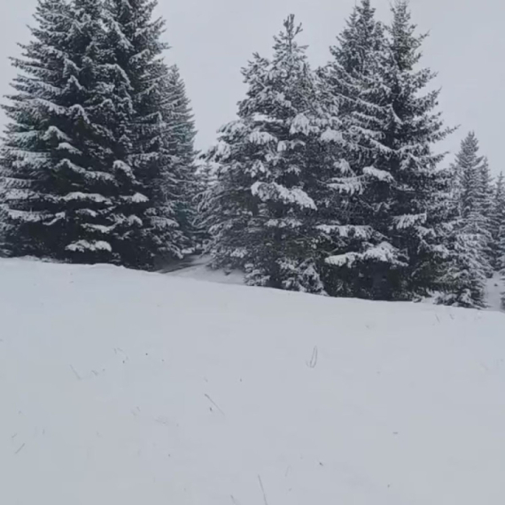 "Veje već satima": Žabljak pod snegom FOTO