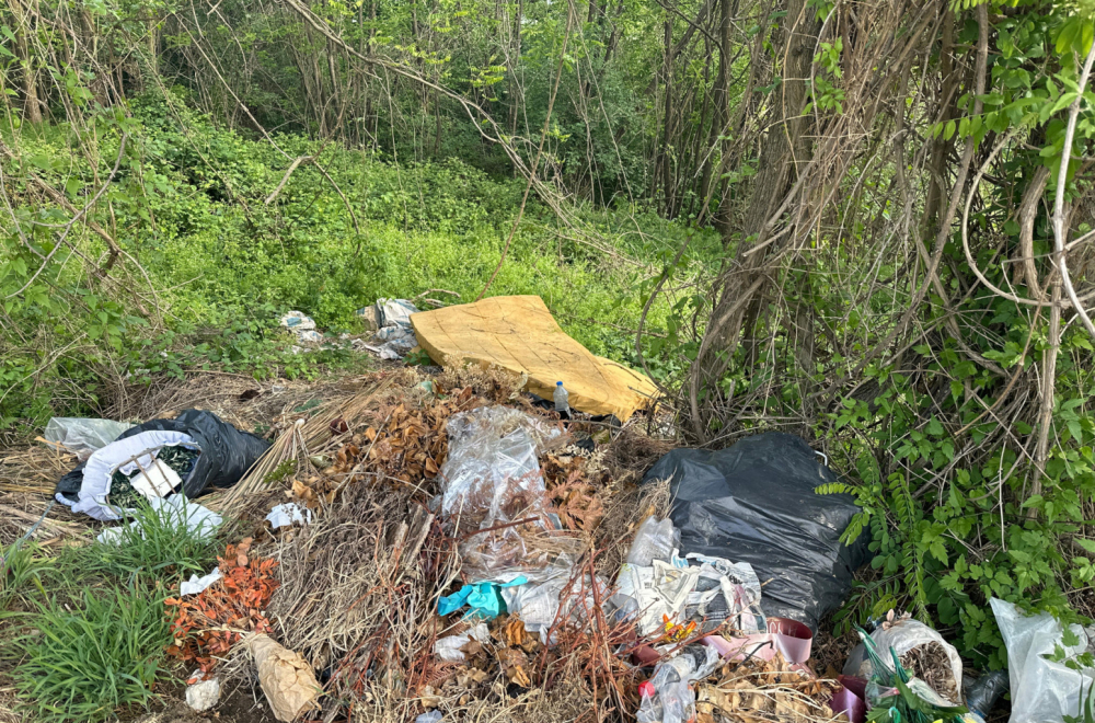 Sramotna slika iz Čačka: Nemarni pojedinci prave divlje deponije u najlepšem delu grada FOTO