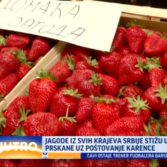 Jagode iz svih krajeva Srbije stižu u Kragujevac VIDEO