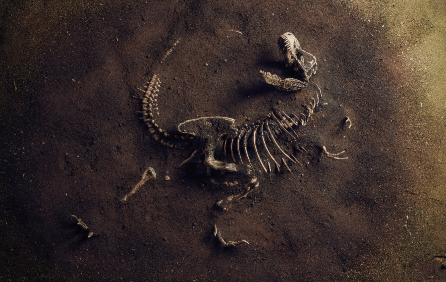 Poslednji gigant: Na Tajlandu otkriven najveći dinosaurus biljojed ikada