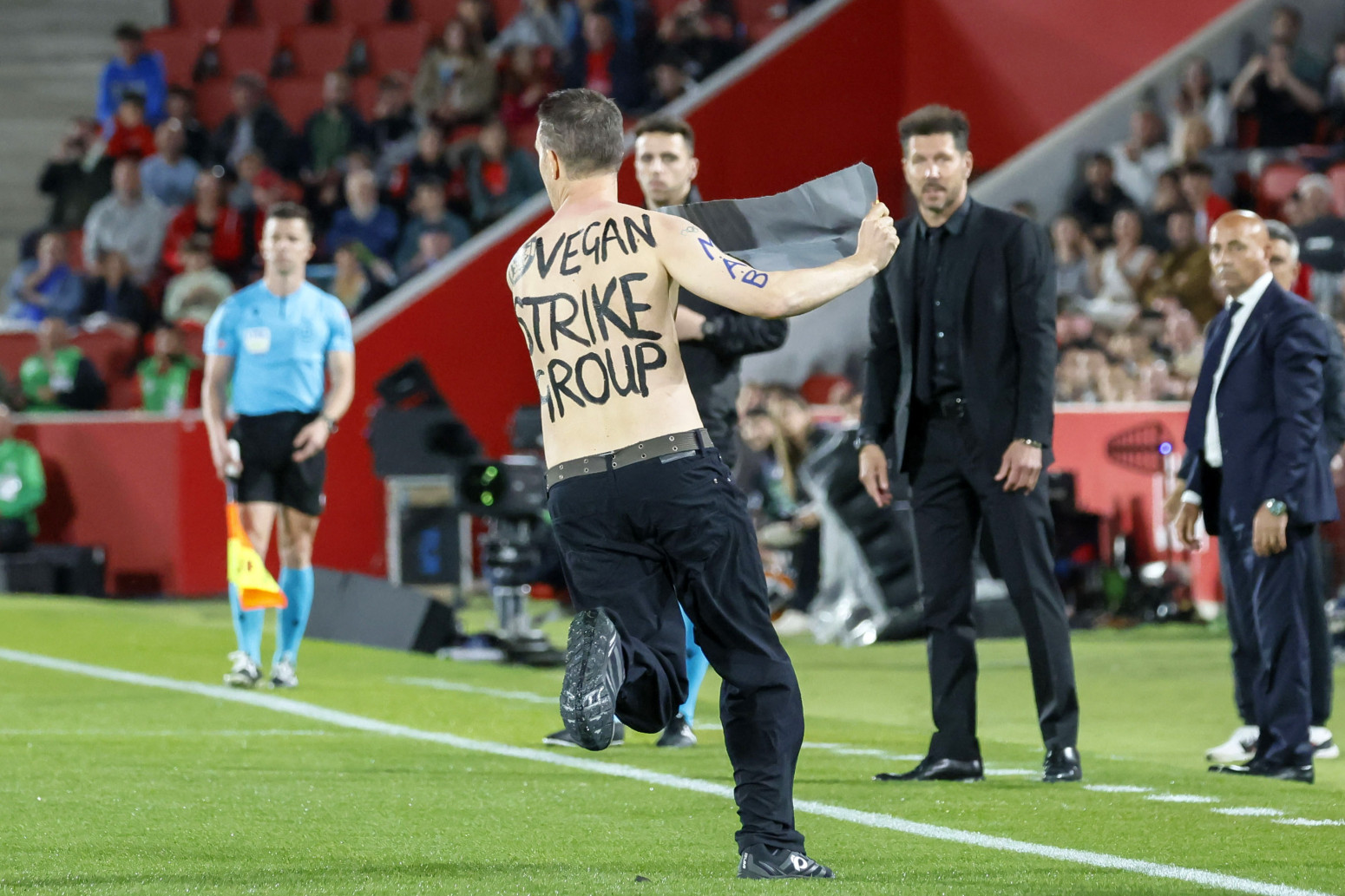 Prekinut meč La Lige – borba bikova je sramota Španije