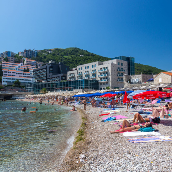 Misteriozno stvorenje na crnogorskoj plaži: "Ne smete ni da ga dotaknete, a njegov ujed izaziva bolove" FOTO