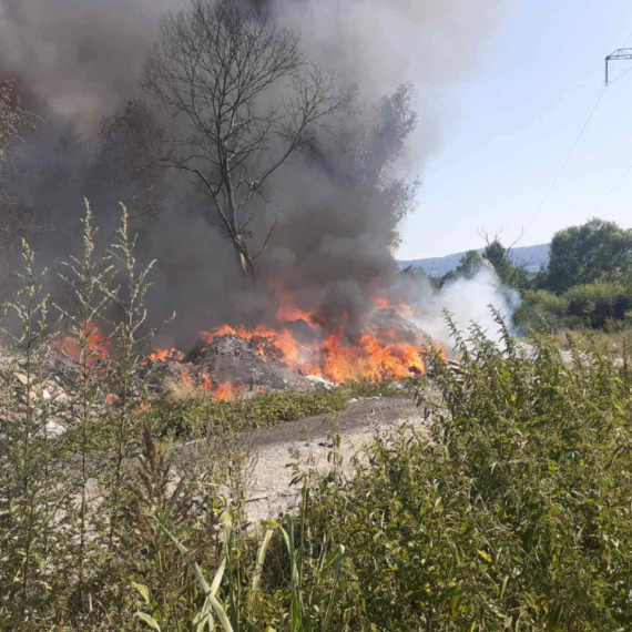 Panika u Somboru – izbio veliki požar; vatra ide ka kućama