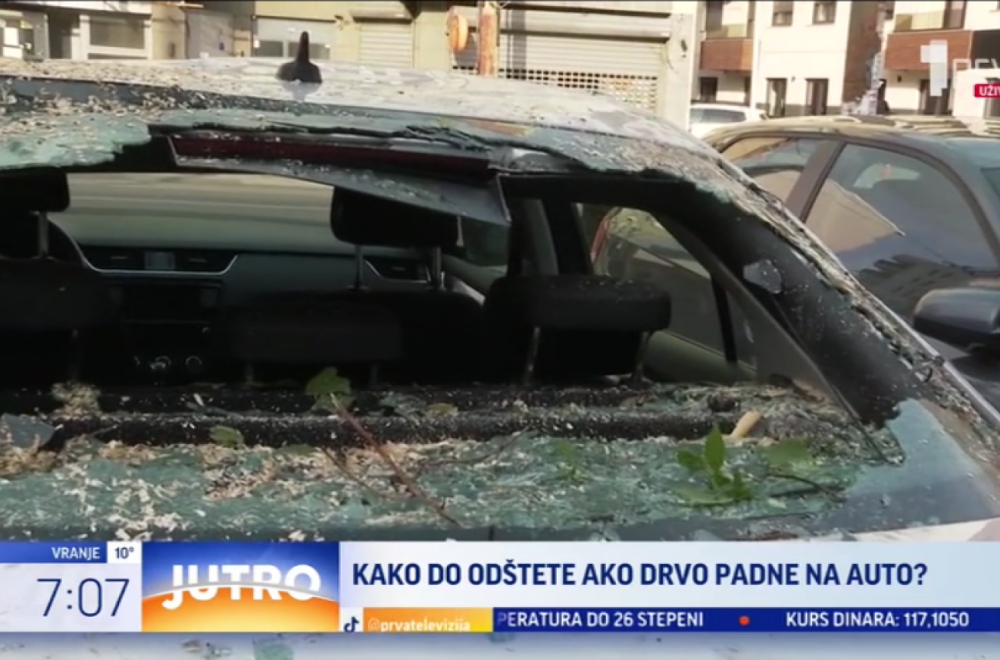 Jak vetar obarao drveće u Beogradu: Pričinjena velika materijlna šteta VIDEO