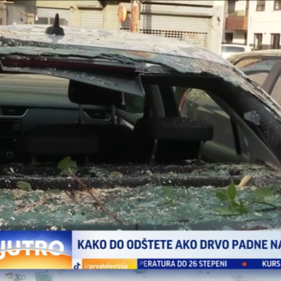 Jak vetar obarao drveće u Beogradu: Pričinjena velika materijlna šteta VIDEO