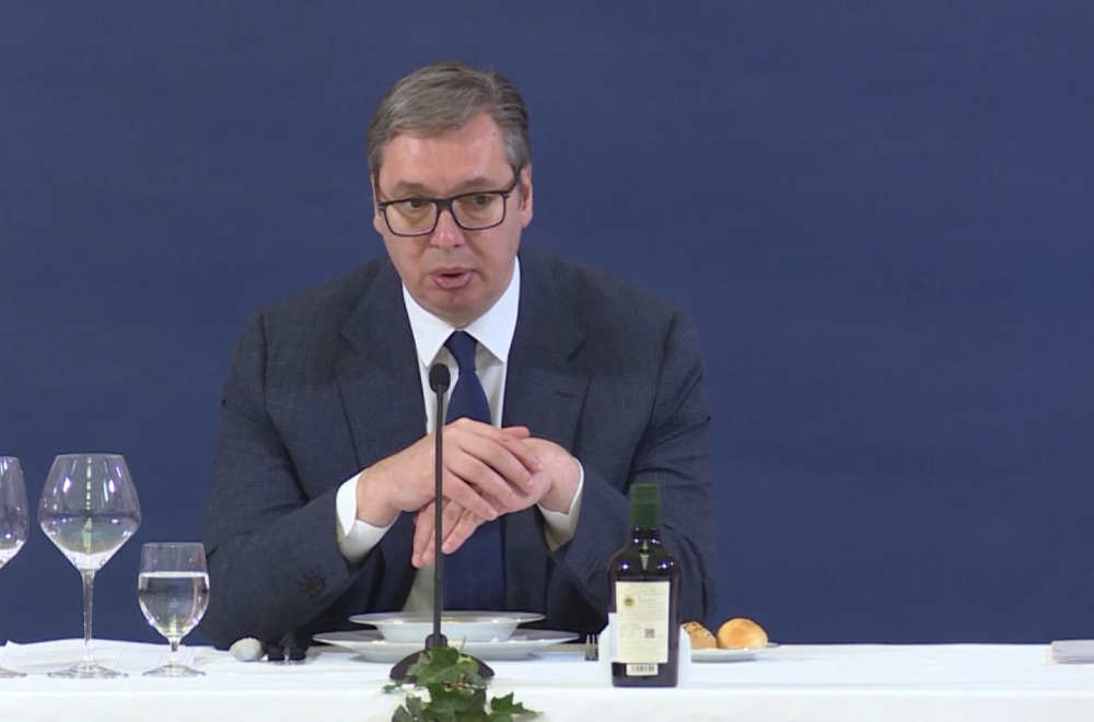 Arogantna Nemačka: Vučić otkrio šta se desilo kada se naš predstavnik obratio Nemcima