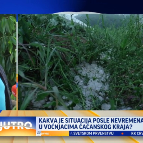 Da li je nevreme napravilo štetu u voćnjacima? VIDEO