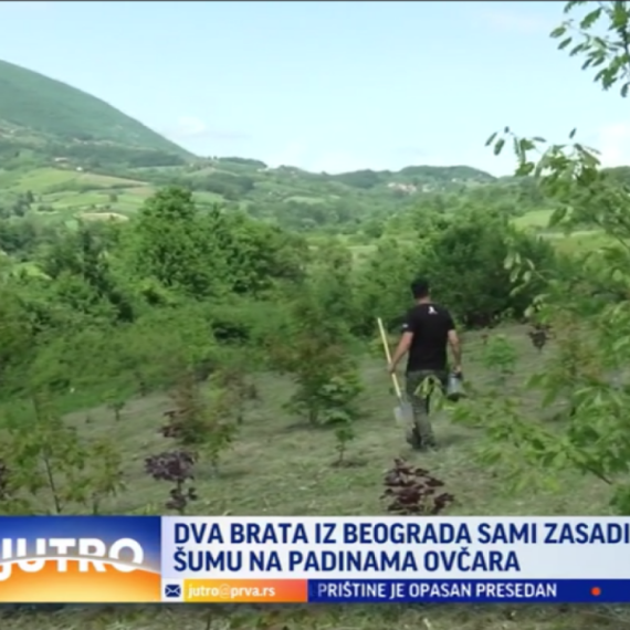 Braća iz Beograda napravili "fabriku kiseonika" kod Čačka VIDEO