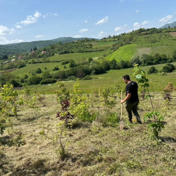 Sam posadio šumu o kojoj svi pričaju: Evo kako ona izgleda FOTO