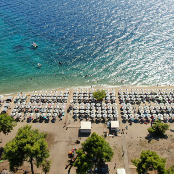 Pojavio se uznemirujući snimak: Opasna zver na plaži u Grčkoj VIDEO