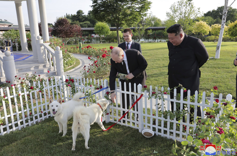 Ode Putin "teži" za dva psa, orden i umetnička dela FOTO/VIDEO