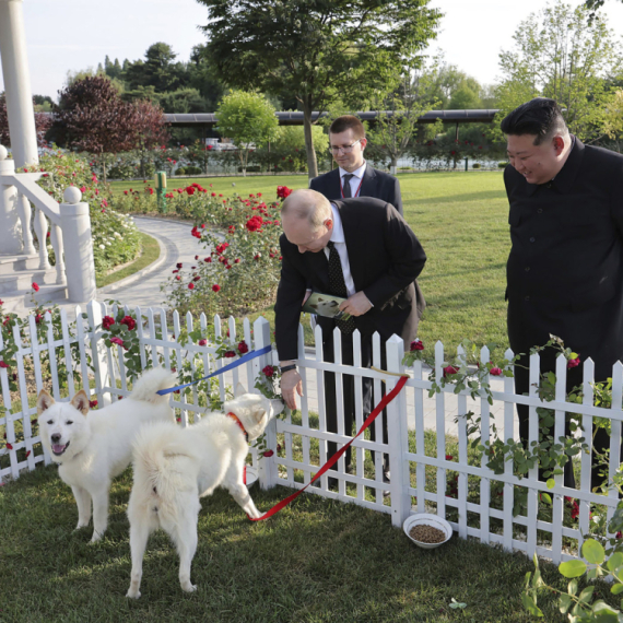 Ode Putin "teži" za dva psa, orden i umetnička dela FOTO/VIDEO