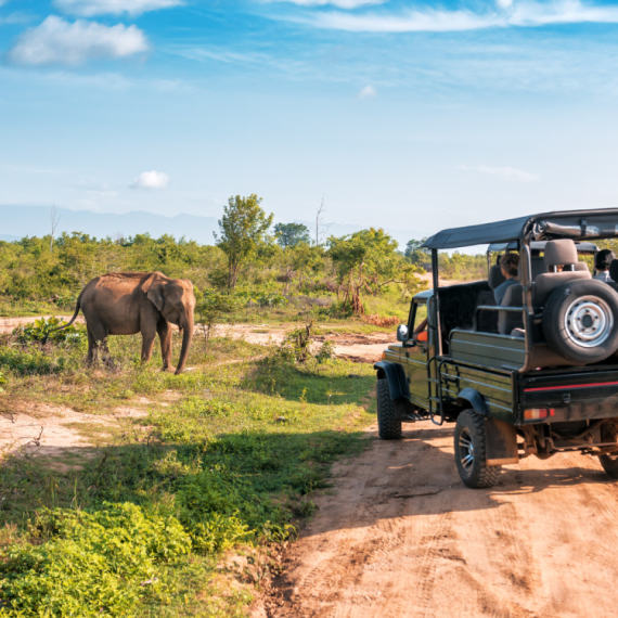 Lovili antilope, pa ih napali slonovi: Američki milioner stradao u Africi FOTO