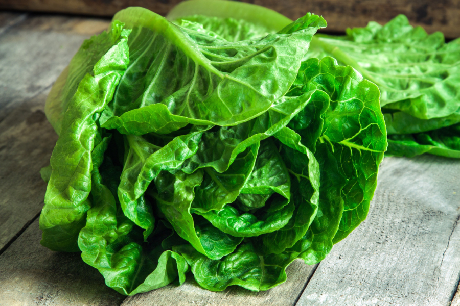 Koliko je zelena salata zaista zdrava? Evo na šta treba da obratite pažnju
