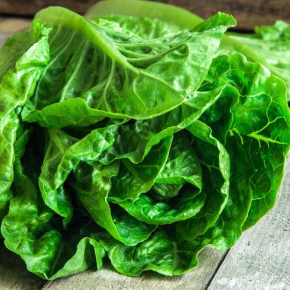 Mislite da je zdrava? Zelena salata može da naškodi ako bolujete od ovih bolesti