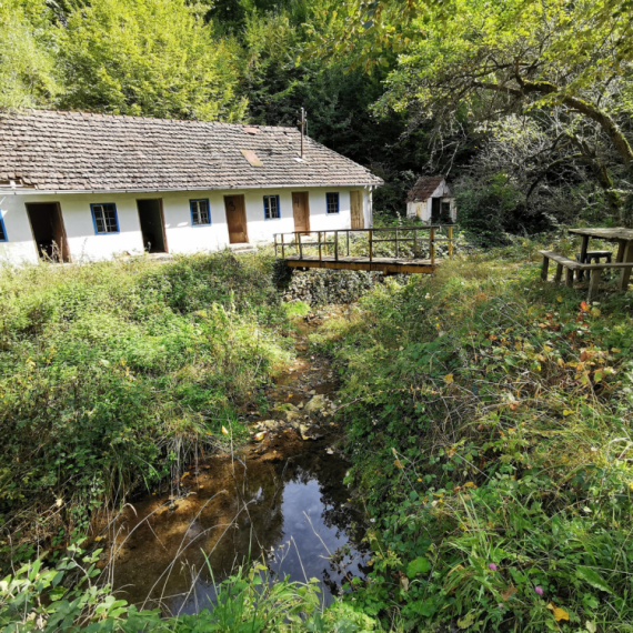 Srpska lekovita banja sakrivena usred šume: U Rošku banju dolazili u kolicima a odlazili na nogama FOTO