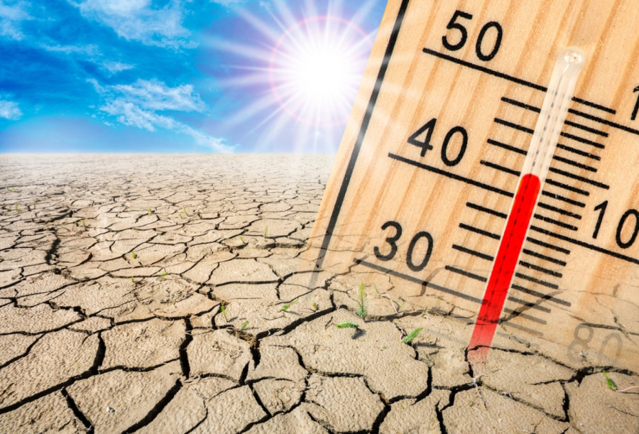 Godina kakvu ne pamtimo: Od −20 do 42 stepena