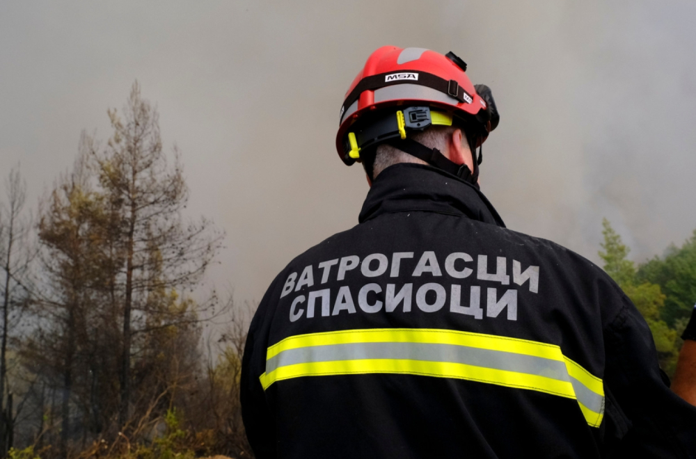 Kako se ovo desilo?! Novosadski vatrogasci imali neobičnu intervenciju FOTO