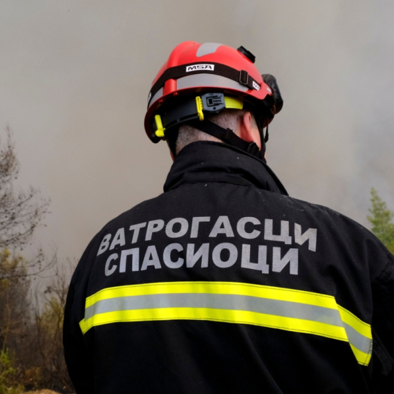 Kako se ovo desilo?! Novosadski vatrogasci imali neobičnu intervenciju FOTO