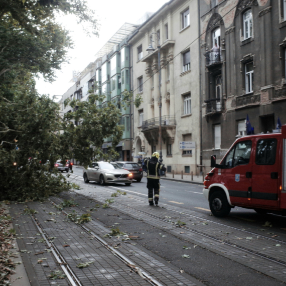Haos u Bileći: Vetar obarao stabla i nosio crepove s krovova