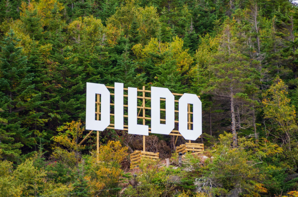 Grad sa manje od 1.000 stanovnika u koji turisti dolaze samo zbog imena: Da li ste čuli za Dildo? FOTO