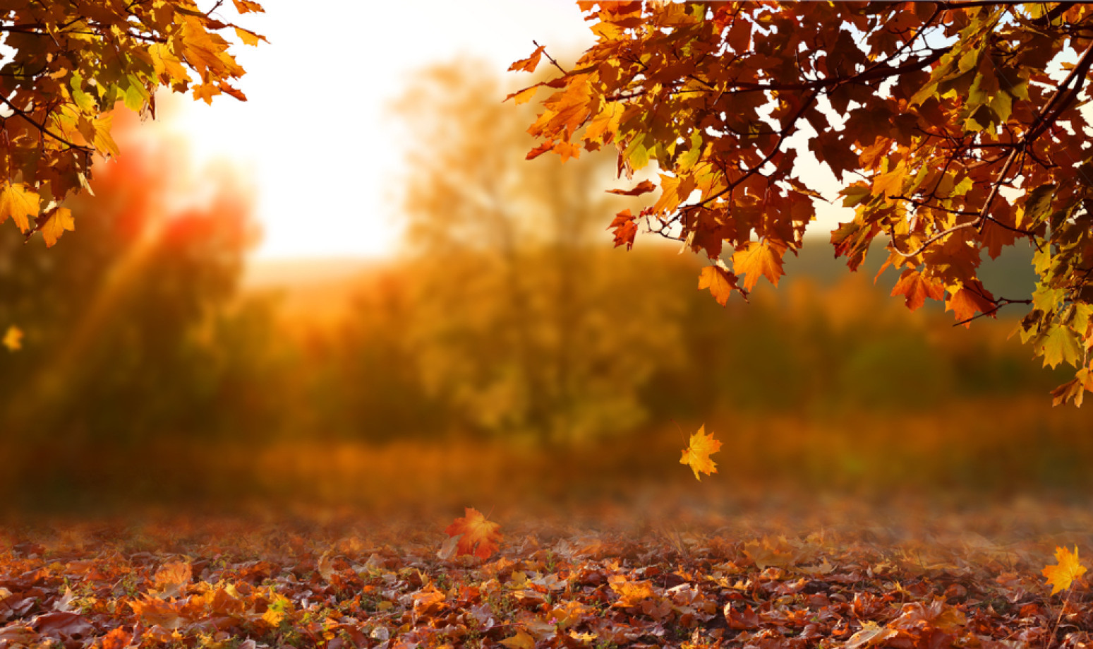 Iznenađujuća prognoza vremena za novembar