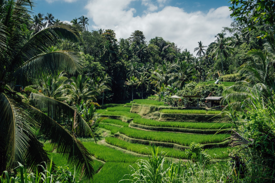 Planirate da putujete na Bali? Evo šta sve treba da znate