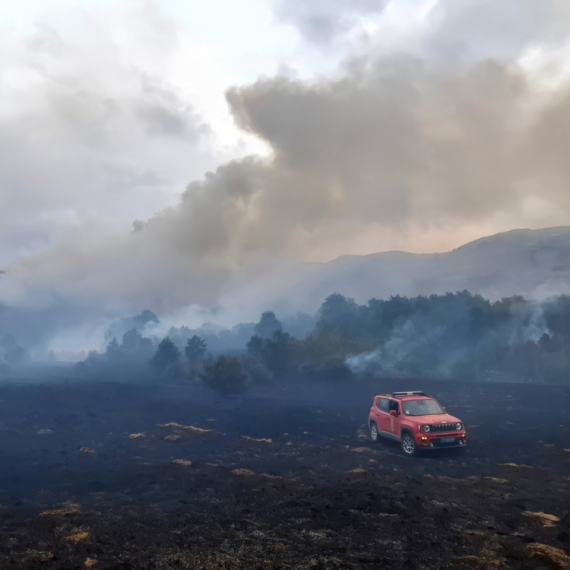 Oglasio se MUP: Podaci strašni – 108 za 24 sata