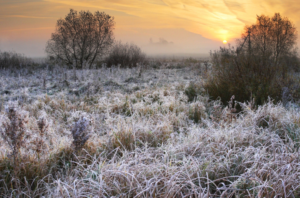 Poznato kakvo će vreme biti narednih dana – jedna pojava posebno zabrinjava FOTO