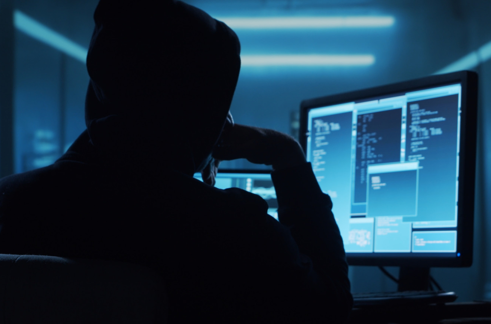 Interpol uhapsio 260 osumnjičenih za onlajn prevare