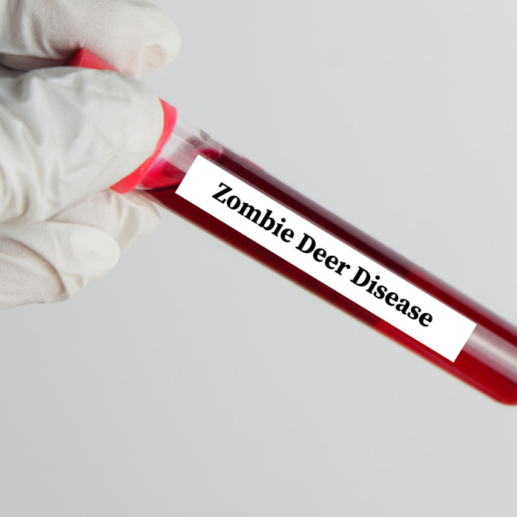 Pojavila se "zombi" bolest nakon 20 godina: Stiglo hitno upozorenje